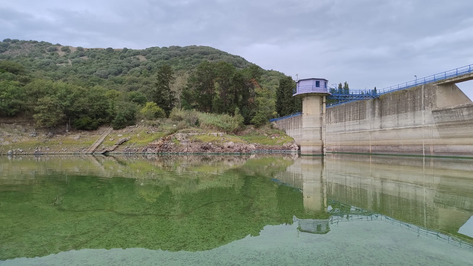 Evidenza di condizioni eutrofiche nel lago Bidighinzu con fioritura microalgale