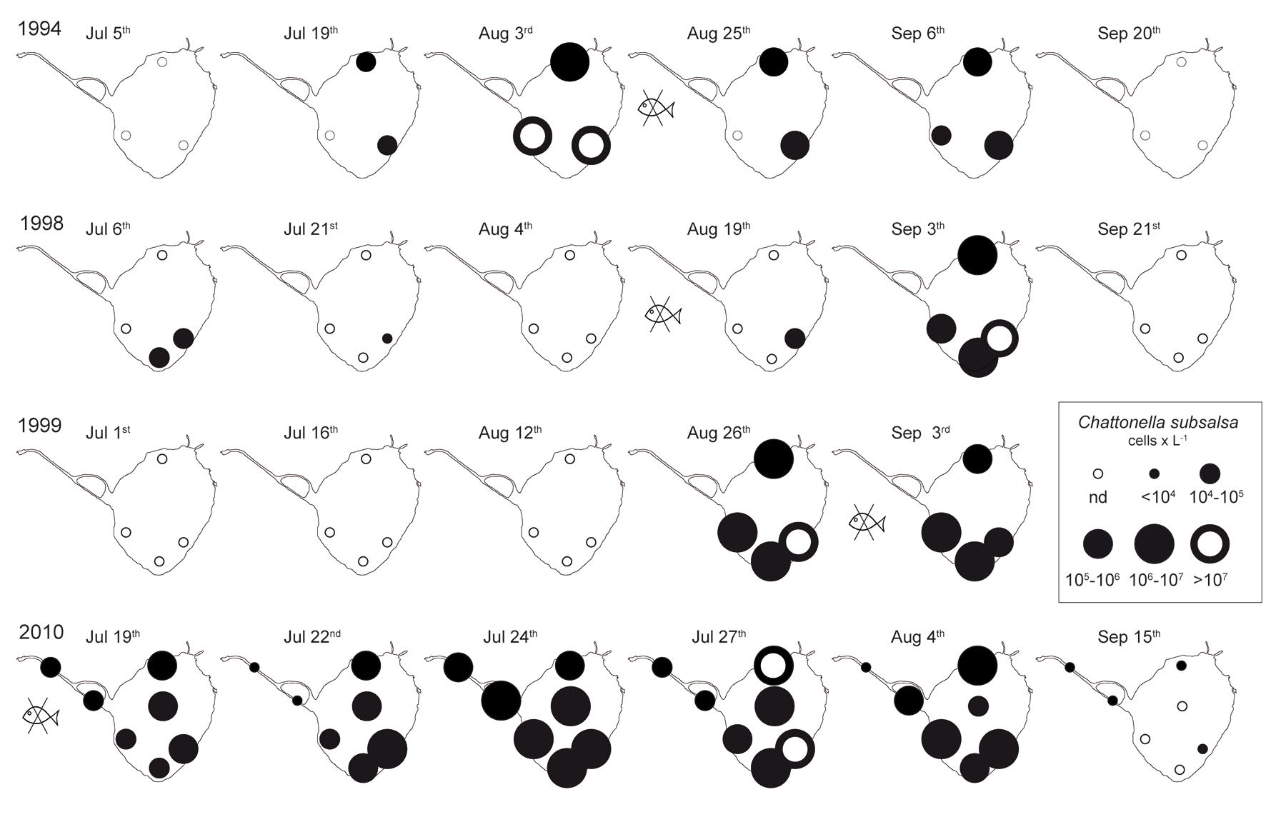 Dinamica delle densità cellulare di Chattonella subsalsa nella Laguna di Santa Giusta nei mesi estivi del 1994, 1998, 1999 e 2010. I pesci barrati indicano l’inizio di eventi di morie (da Satta C.T., Padedda B.M., Sechi N., Pulina S., Loria A., Lugliè A. (2017). Multiannual Chattonella subsalsa Biecheler (Raphidophyceae) blooms in a Mediterranean lagoon (Santa Giusta Lagoon, Sardinia Island, Italy). Harmful Algae ,67: 61-73).