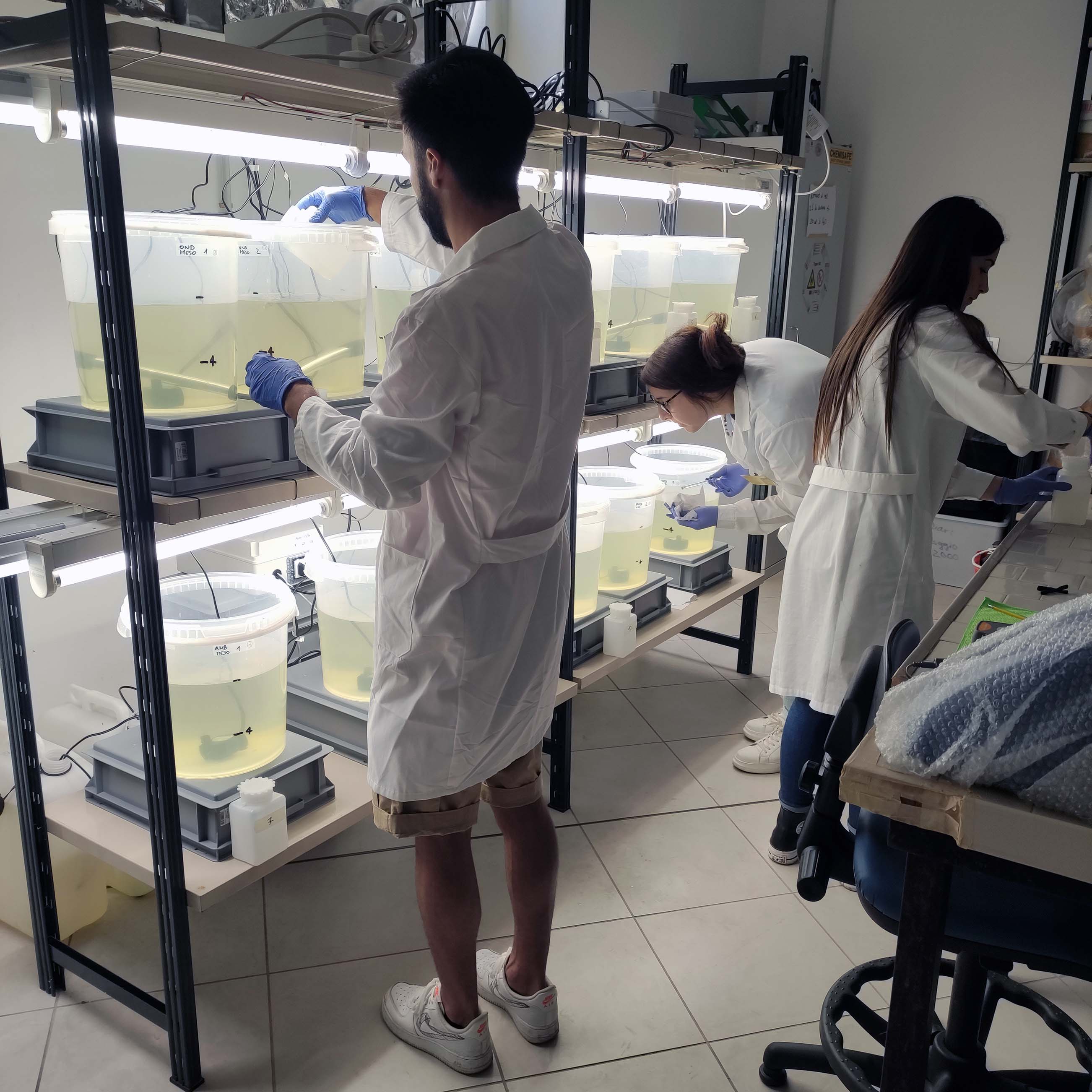 Progetto PRIN: FUTURO - foto di attività di ricerca in laboratorio con persone