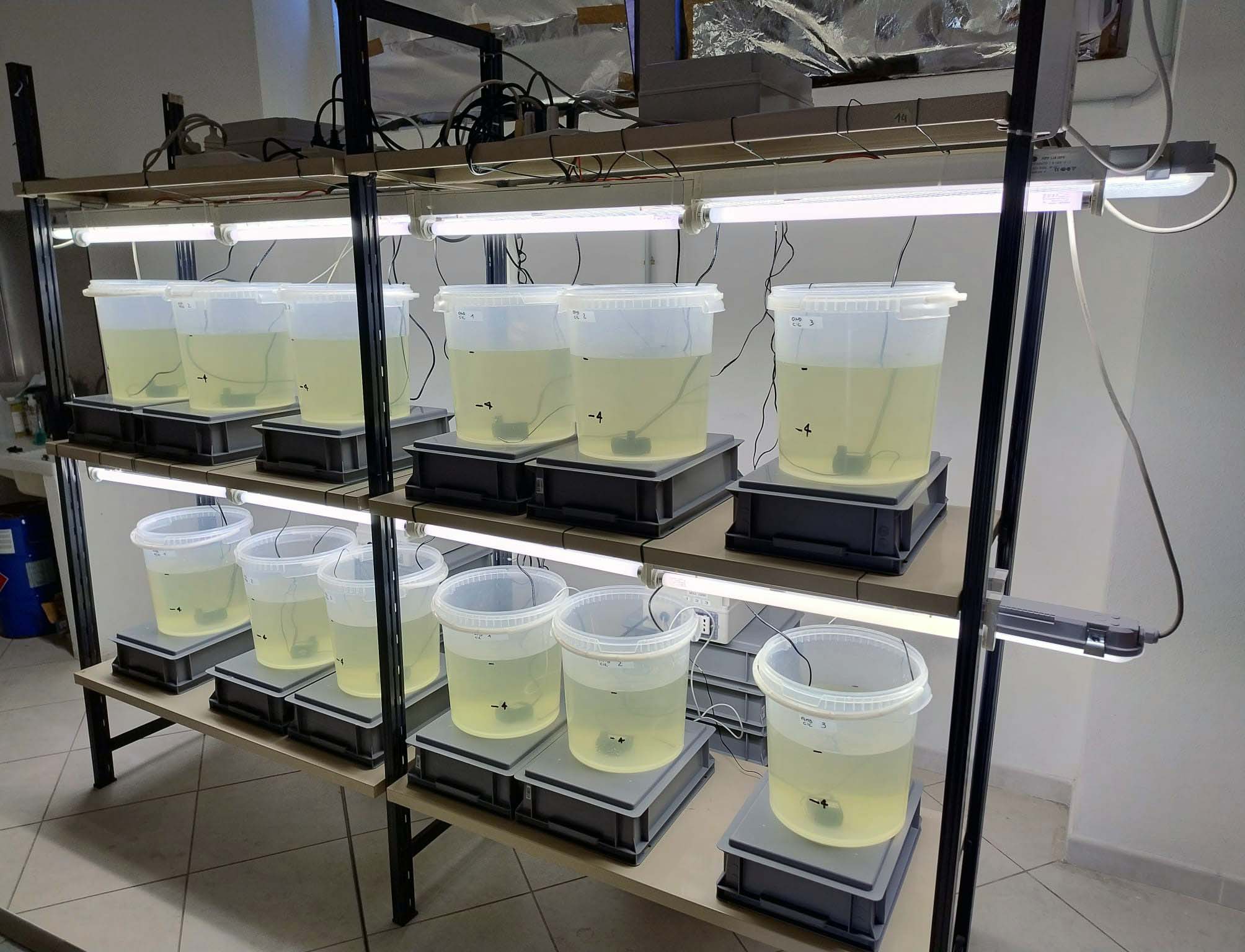 Progetto PRIN: FUTURO - foto di attività di ricerca in laboratorio