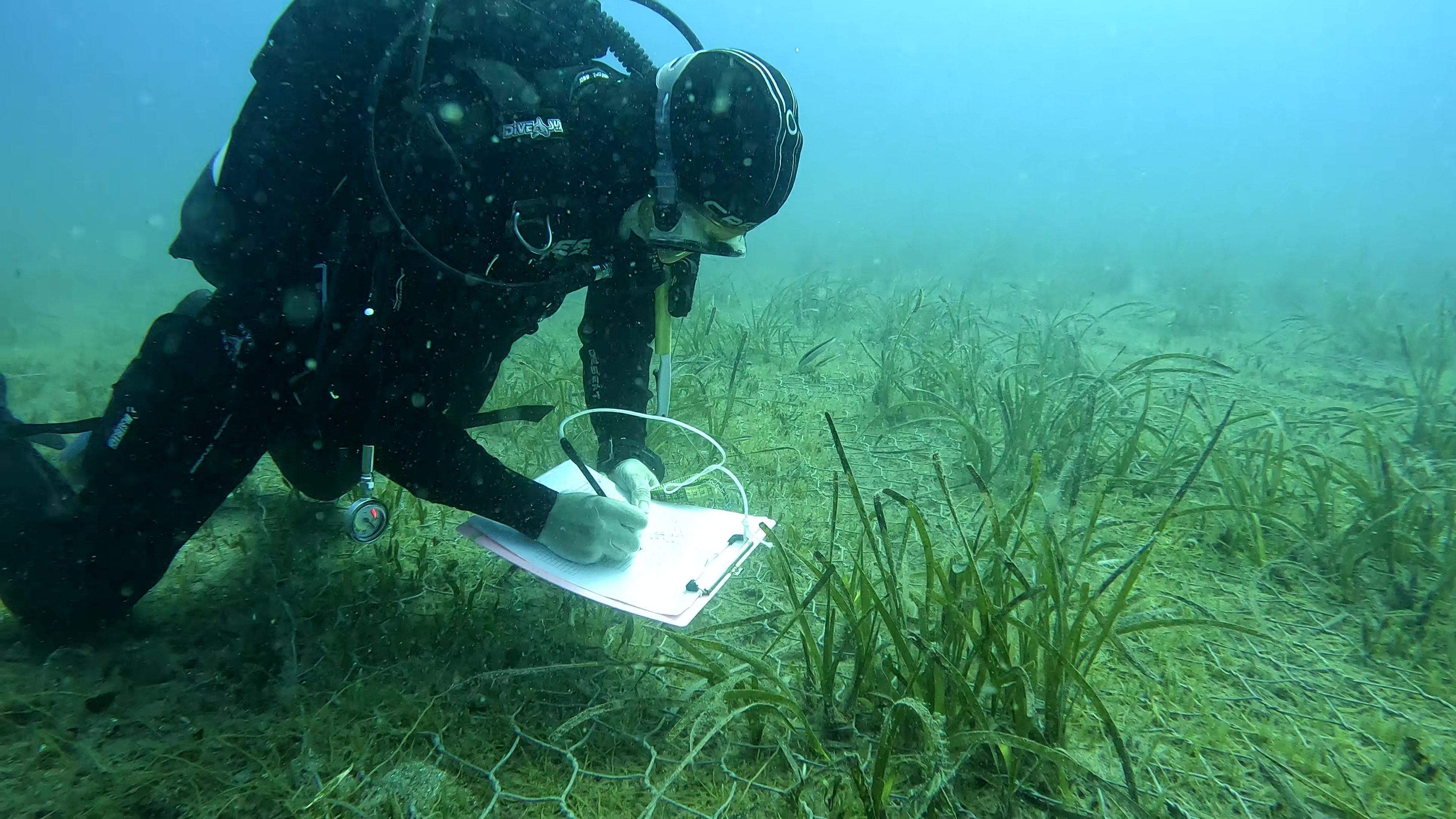 Ricerche sottomarine