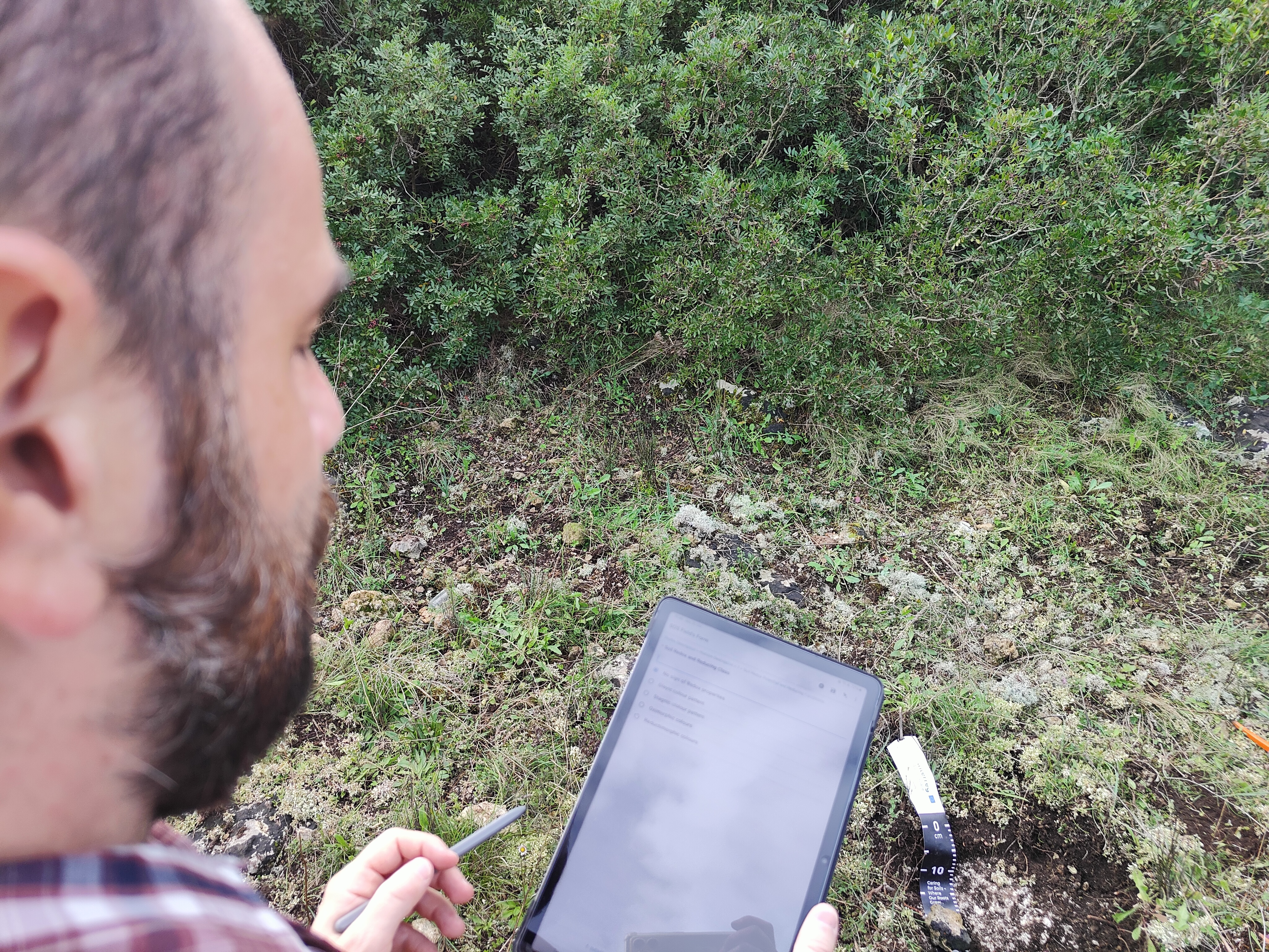 Visita sul campo con tablet