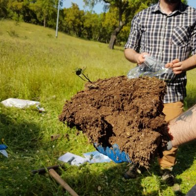 Campionamento del suolo