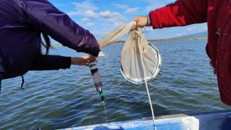 Attività di campionamento