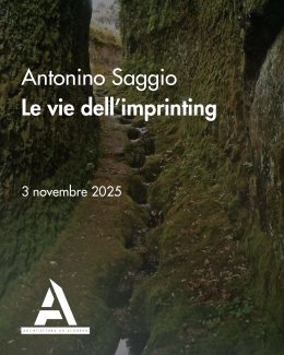Locandina dell'evento Le vie dell’imprinting