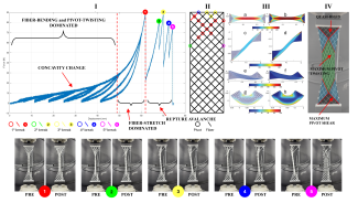 Omogeneizzazione dell’anelasticità di sistemi “lattice” non locali